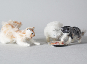 お〜ごちそうやんか